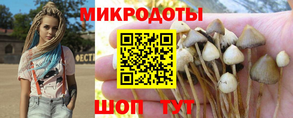 Галлюциногенные грибы MAGIC MUSHROOMS  Псилоцибиновые грибы мухоморы  Черняховск  Вход с VPN 